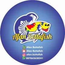 Affan Beta Fish