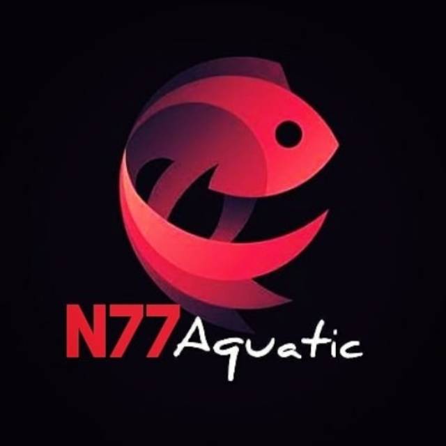 Nusantara 77