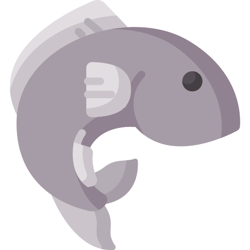 Ikan lele konsumsi